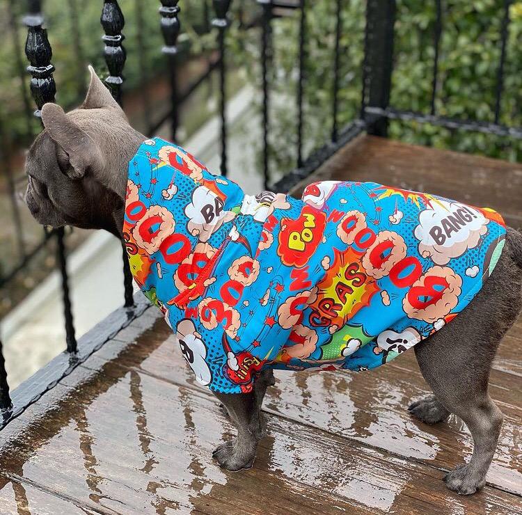 Dogness Boom Köpek Yağmurluğu
