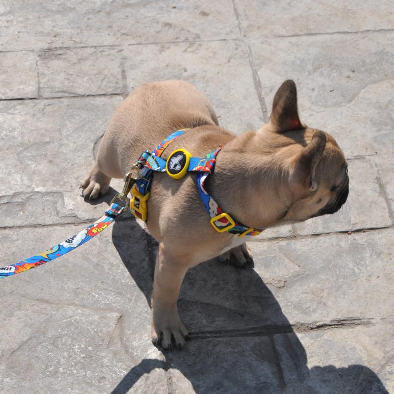 Dogness Boom H Tipi Göğüs Tasması (Airtag Kapsül hediyeli)