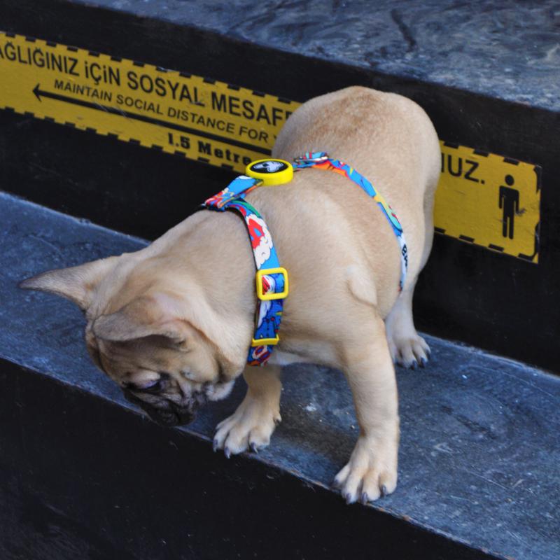 Dogness Boom H Tipi Göğüs Tasması (Airtag Kapsül hediyeli)