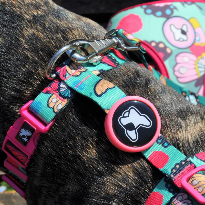 Dogness Butterfly H Tipi Göğüs Tasması (Airtag Kapsül hediyeli)
