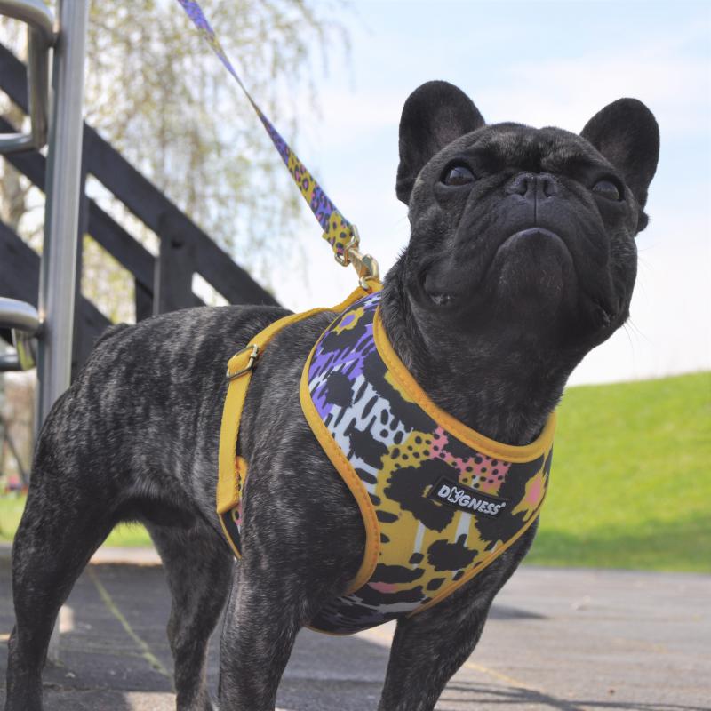 Dogness Leopard Göğüs Tasması