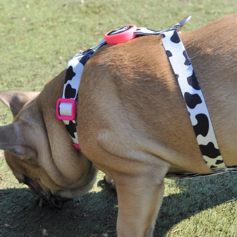 Dogness Milky H Tipi Göğüs Tasması (Airtag Kapsül hediyeli)