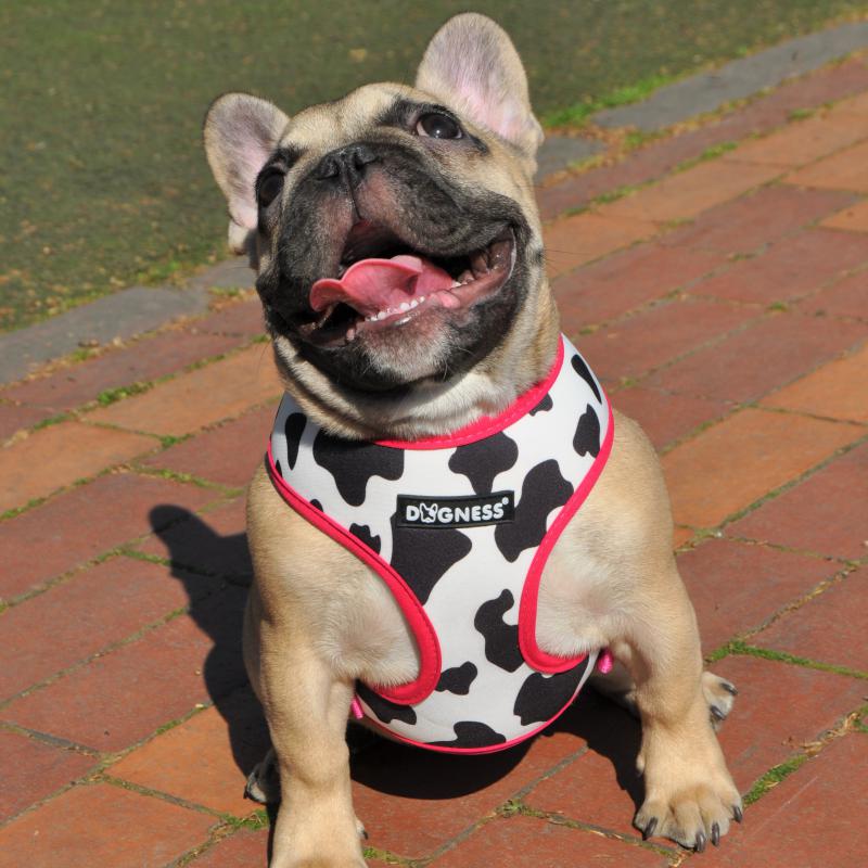 Dogness Milky Göğüs Tasması