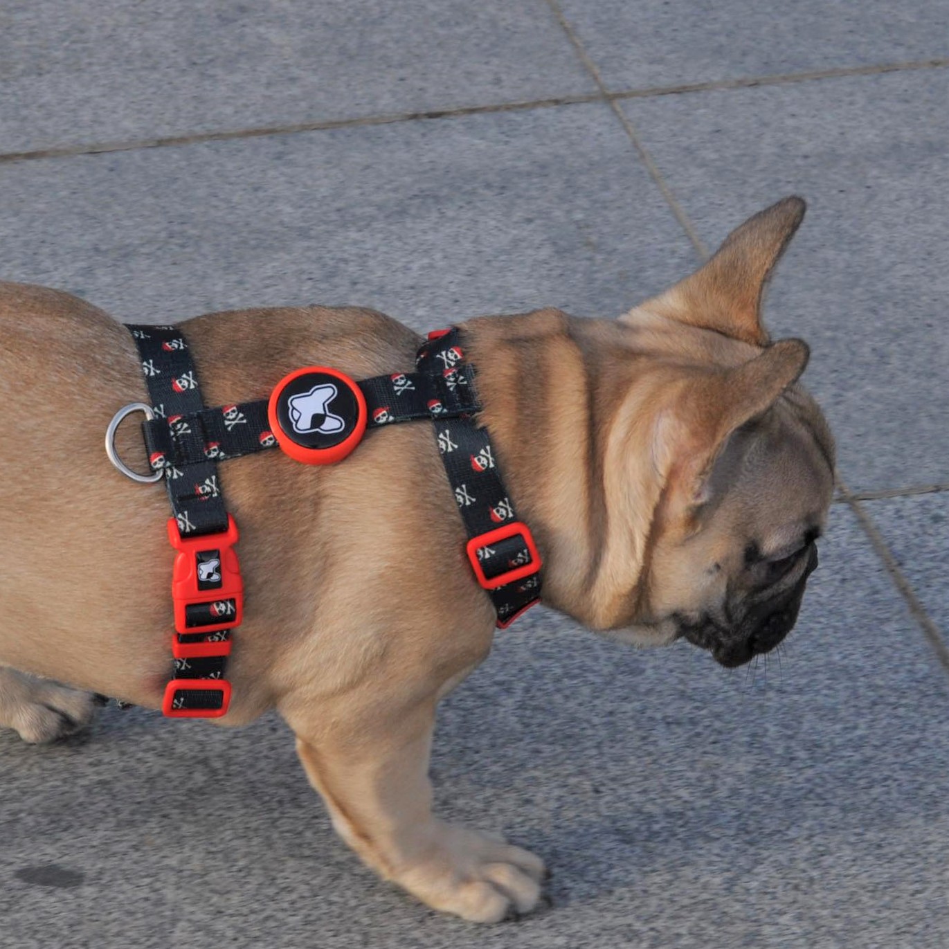 Dogness Pirates H Tipi Göğüs Tasması (Airtag Kapsül hediyeli)