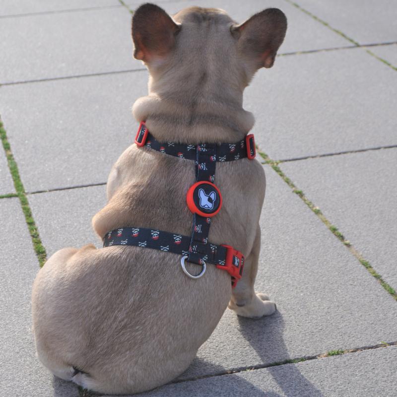 Dogness Pirates H Tipi Göğüs Tasması (Airtag Kapsül hediyeli)