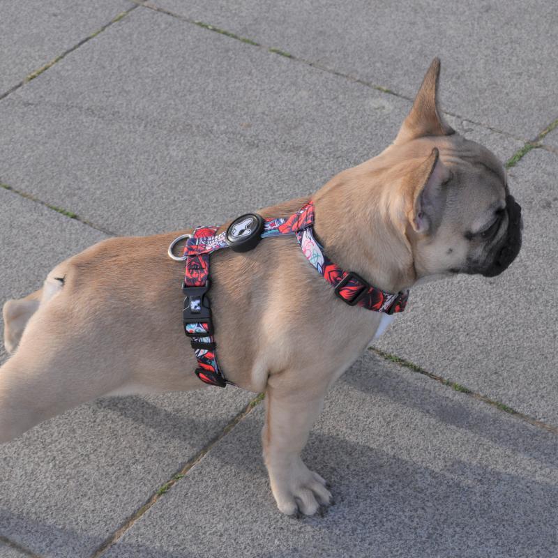 Dogness Rockstar H Tipi Göğüs Tasması (Airtag Kapsül hediyeli)