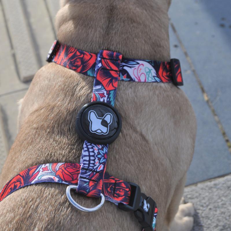 Dogness Rockstar H Tipi Göğüs Tasması (Airtag Kapsül hediyeli)