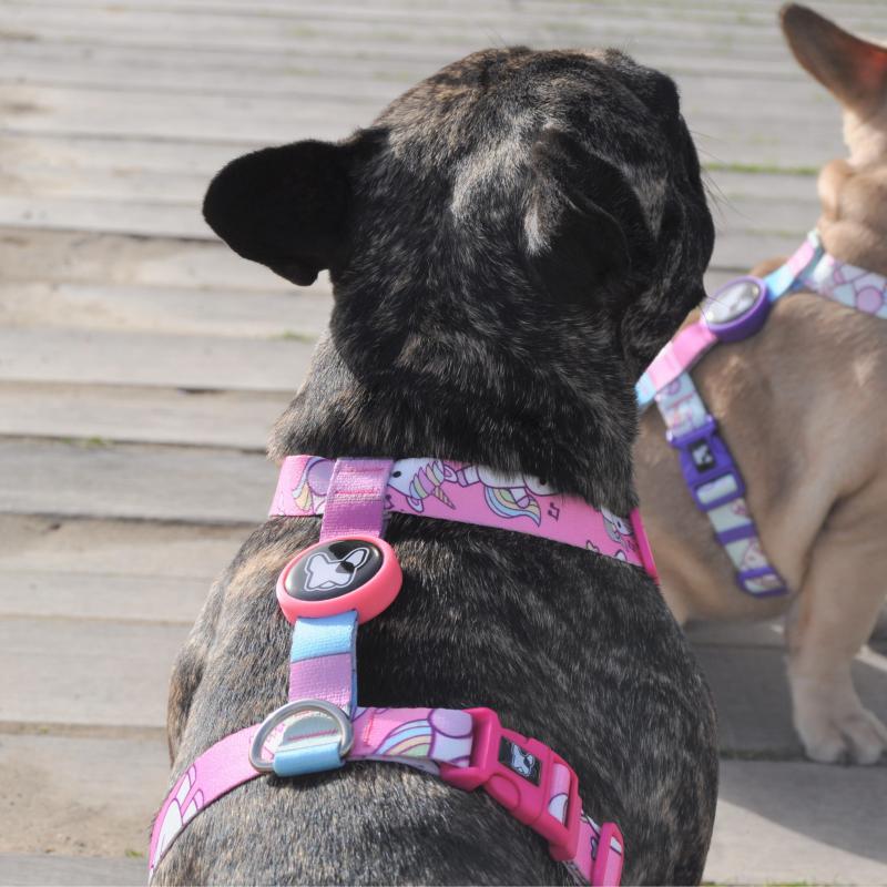 Dogness Unicorn Pembe H Tipi Göğüs Tasması (Airtag Kapsül hediyeli)