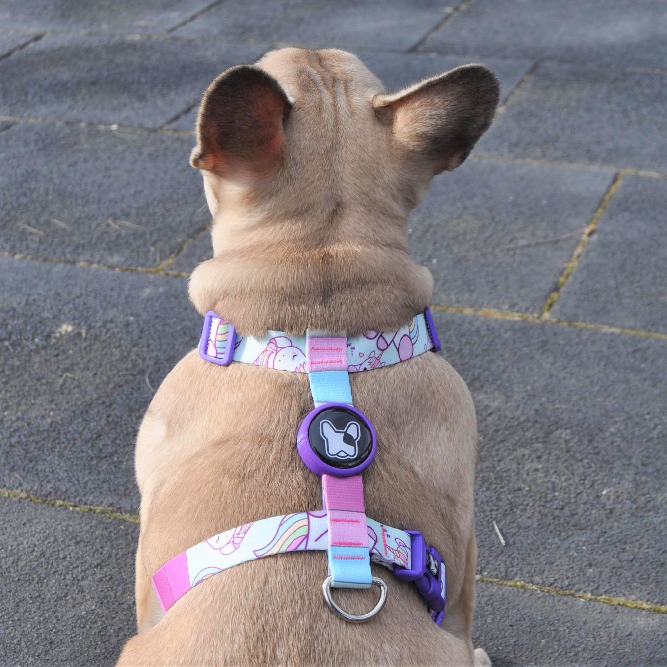 Dogness Unicorn Mavi H Tipi Göğüs Tasması (Airtag Kapsül hediyeli)