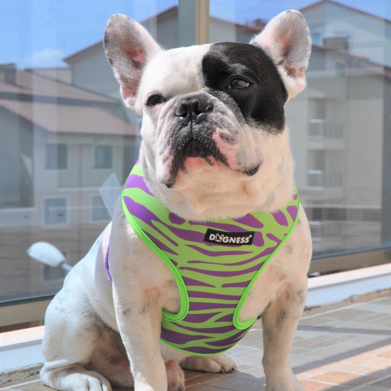 Dogness Wakanda Göğüs Tasması