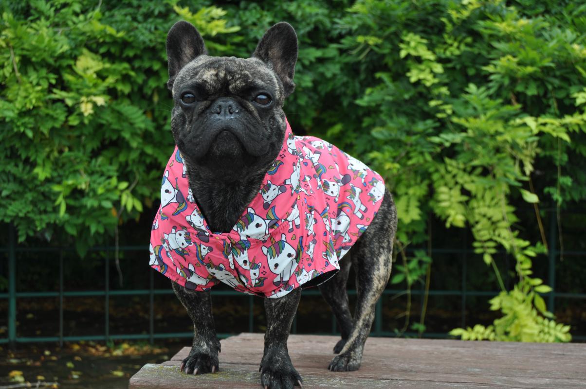 Dogness Unicorn Köpek Yağmurluğu