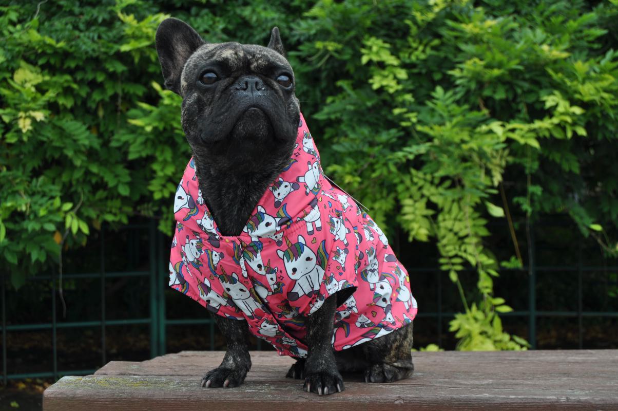Dogness Unicorn Köpek Yağmurluğu