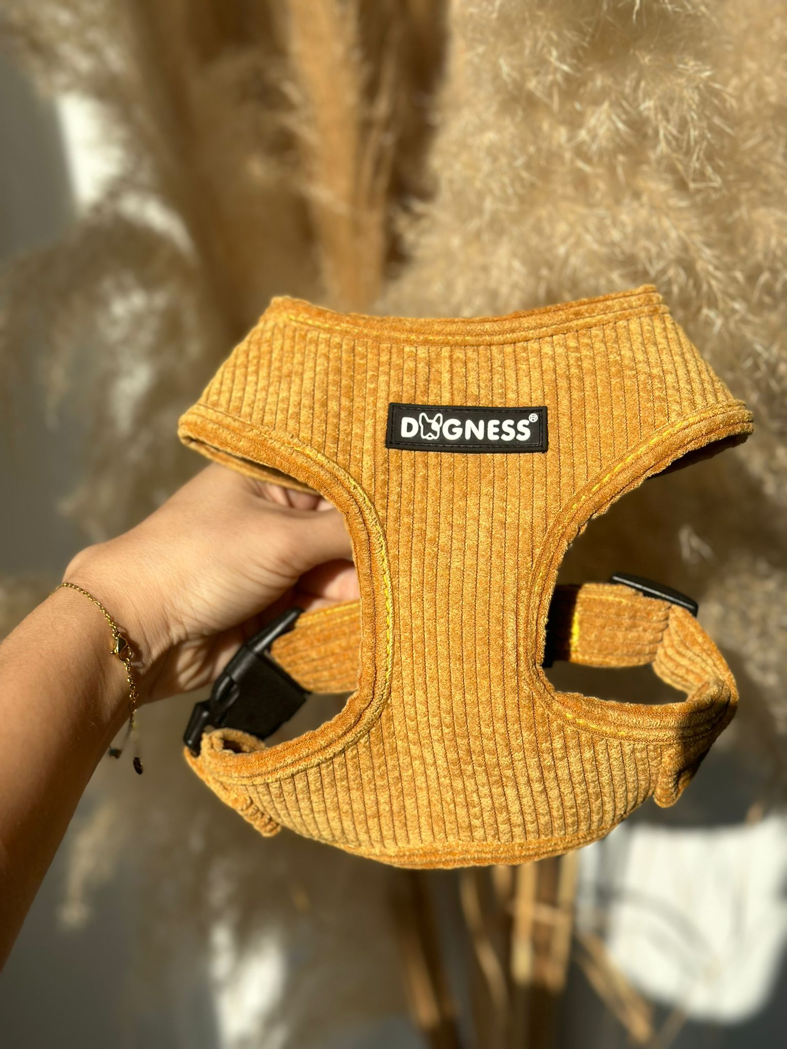Dogness Hardal Kadife Göğüs Tasması