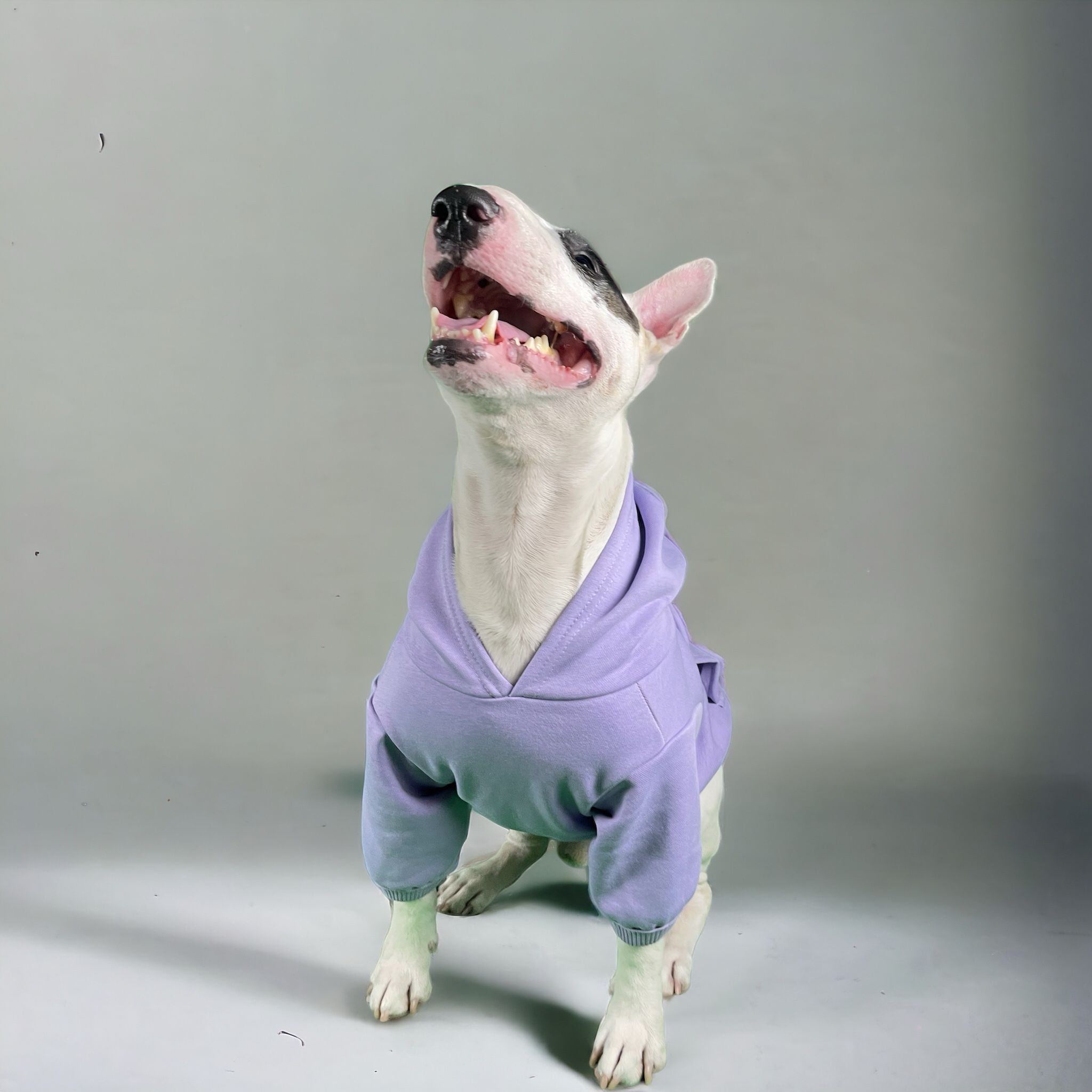 Dogness Lila  Köpek Kapüşonlu Sweatshirt