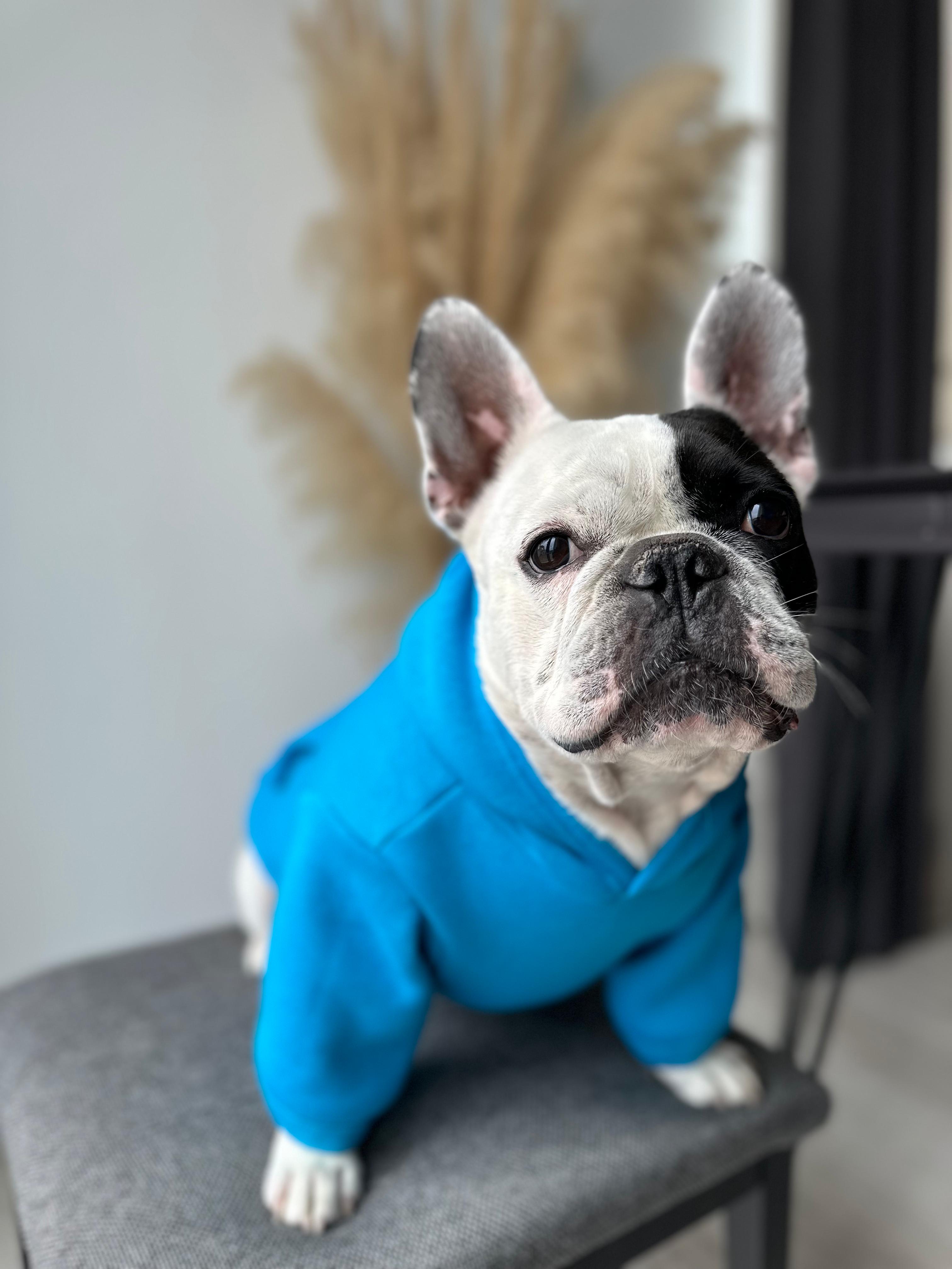Dogness Mavi  Köpek Kapüşonlu Sweatshirt