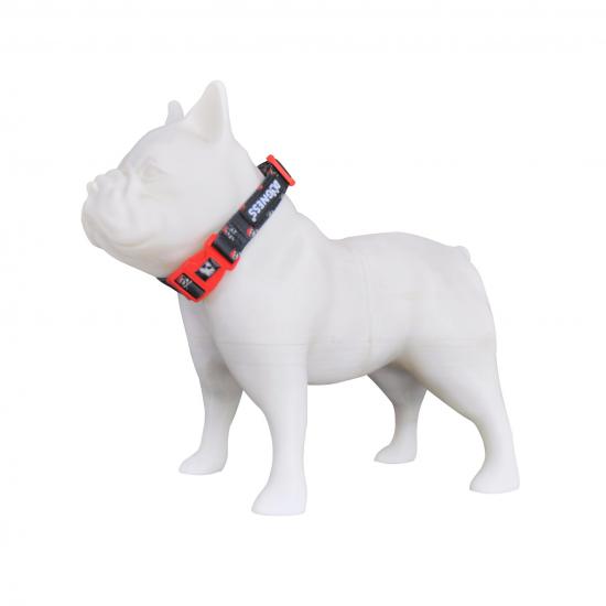 pirates köpek boyun tasması