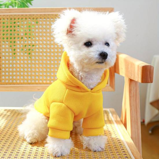 Kapüşonlu Köpek Sweatshirt